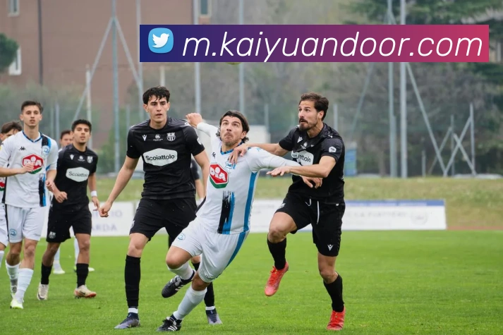 开元棋牌平台生态图